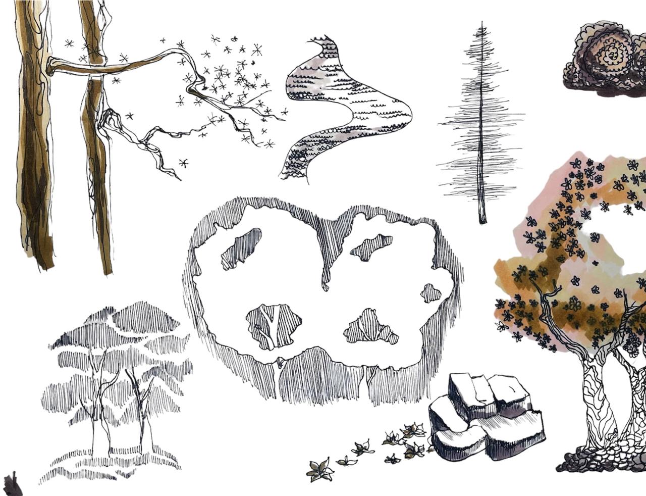 Ландшафтный дизайн